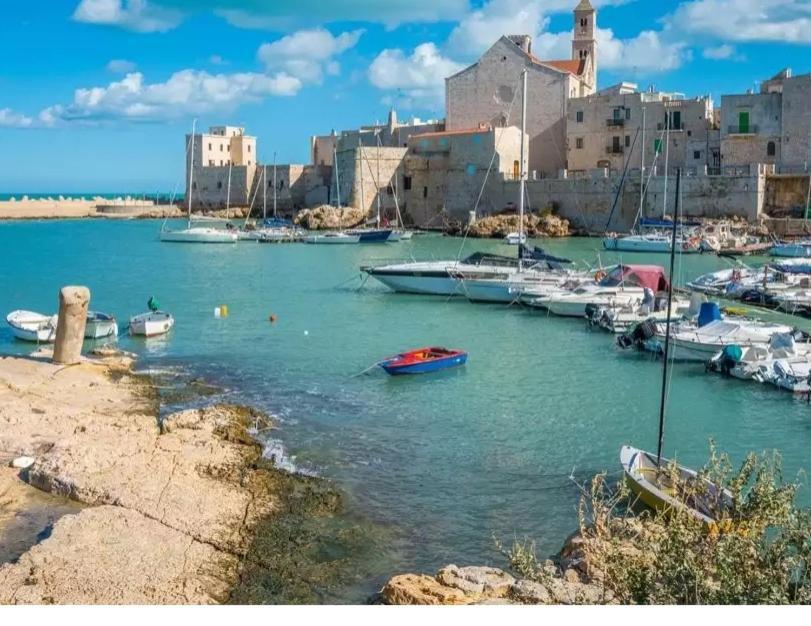 Piazza Duomo - Medieval Puglia'S House Giovinazzo Exterior foto